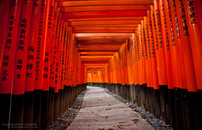 12/22/11 1:38:07 AM -- Kuba's visit - second day in Kyoto, Japan. © Dominika Photographer www.dominikaphoto.com